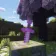 Minecraft Mod : Blossom Blade Fabric