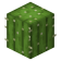 Cactus Dupe