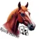 Minecraft Mod : Bjork Horse