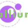 Allium