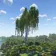 Minecraft Mod : Big Birch Tree