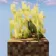 Minecraft Mod : Better Harvesting
