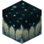 Minecraft Mod : BuffedSculkCatalysts