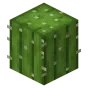 Minecraft Mod : Cactus Dupe