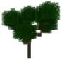 Minecraft Mod : Better Trees
