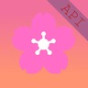 BlossomBridge API