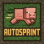 Minecraft Mod : AutoSprintButton