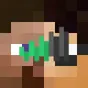 Minecraft Mod : BlueMap Custom Skin Server